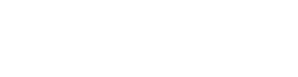 TTI Success Insights France